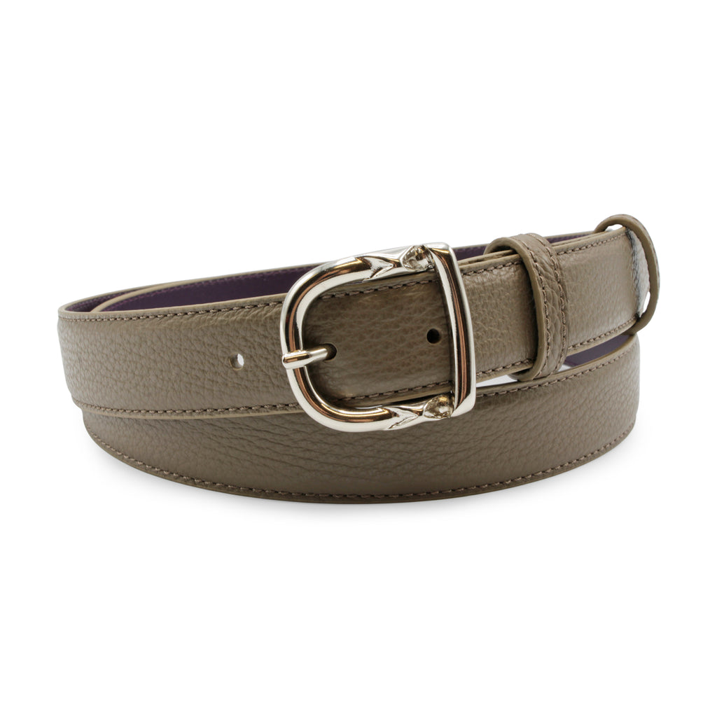 Kim White Jewel Belt - Taupe Brushed Metallic main image 1